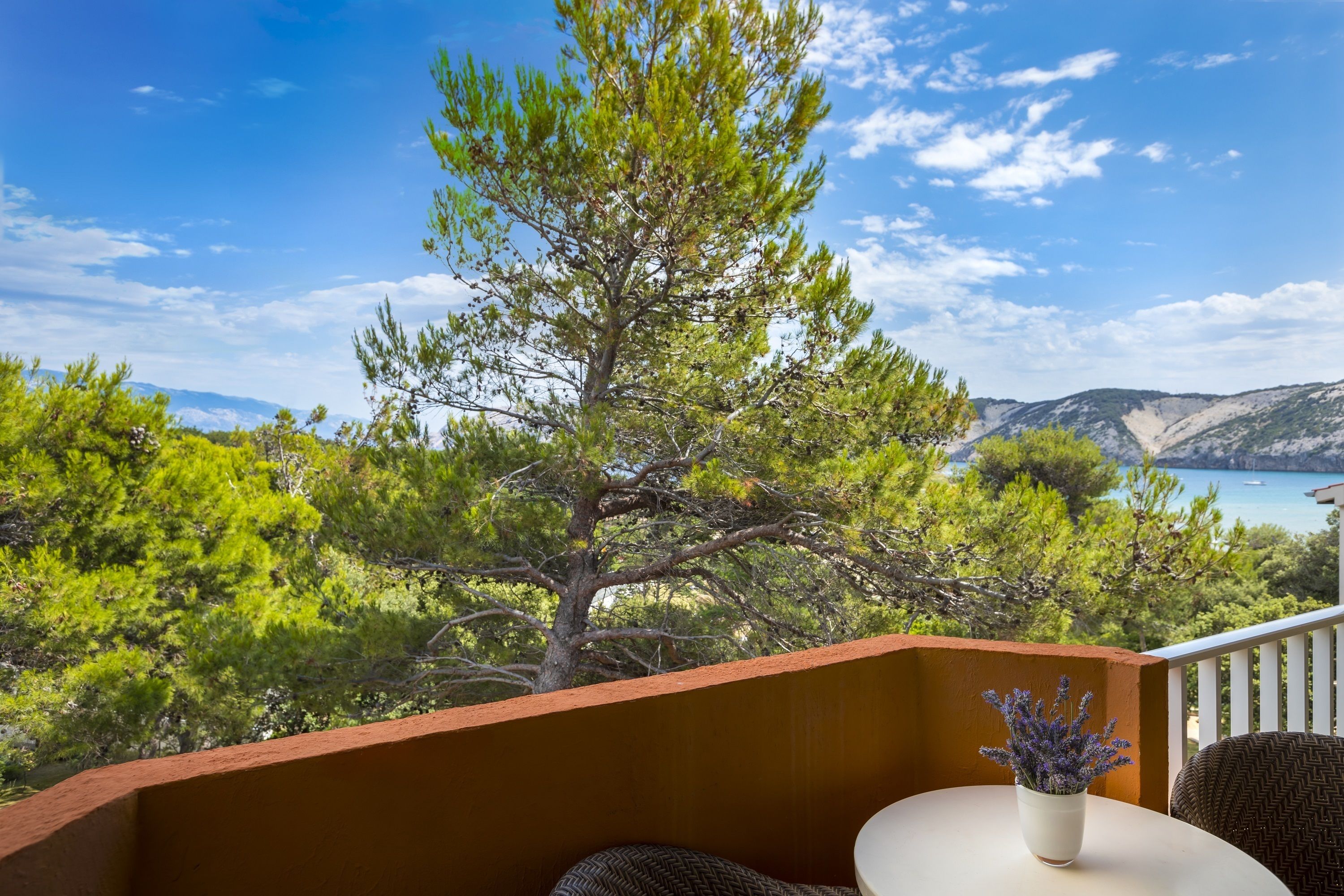 Un balcón con vista a un árbol y una masa de agua.