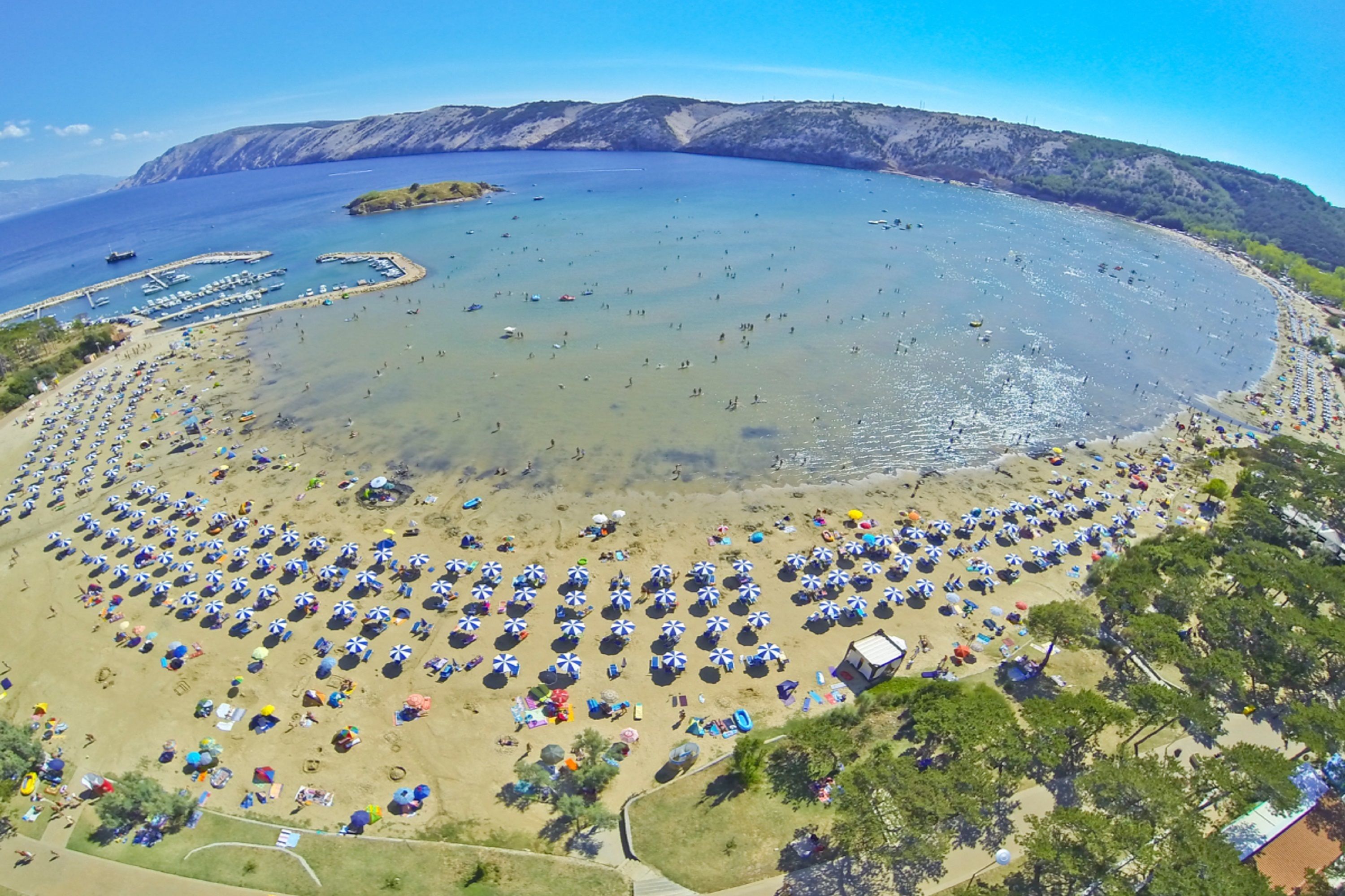A beach with numerous umbrellas and sun loungers arranged in rows.