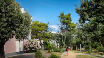 Taman