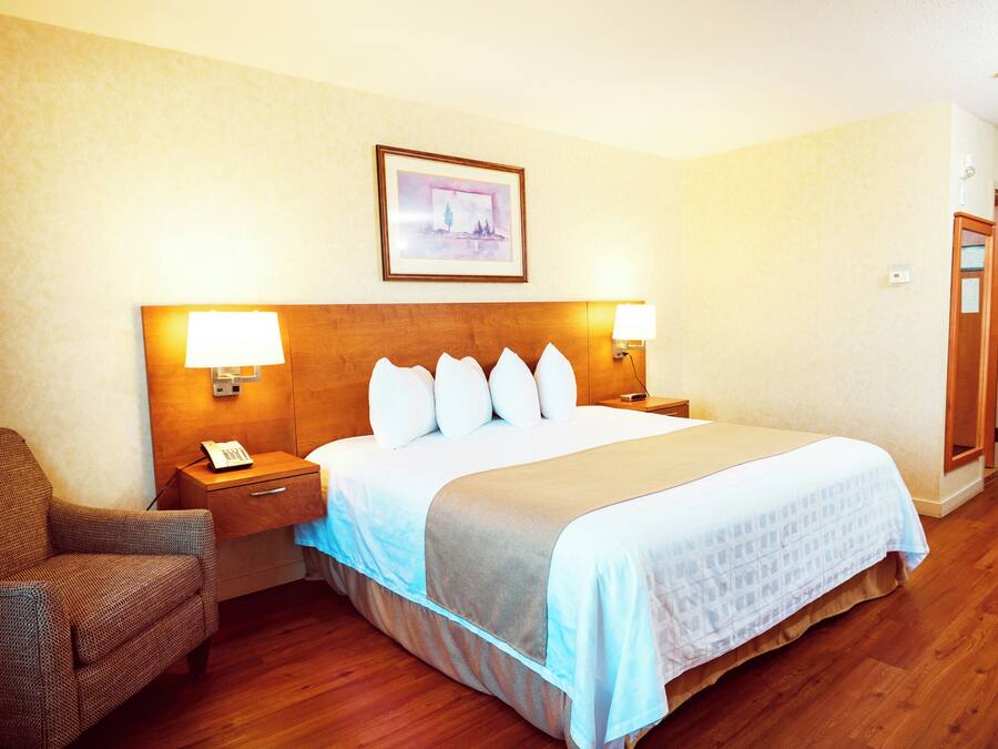 Standard Room | Desk, iron/ironing board, rollaway beds, free WiFi