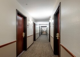 Un pasillo de hotel con puertas, lámparas y una alfombra estampada.