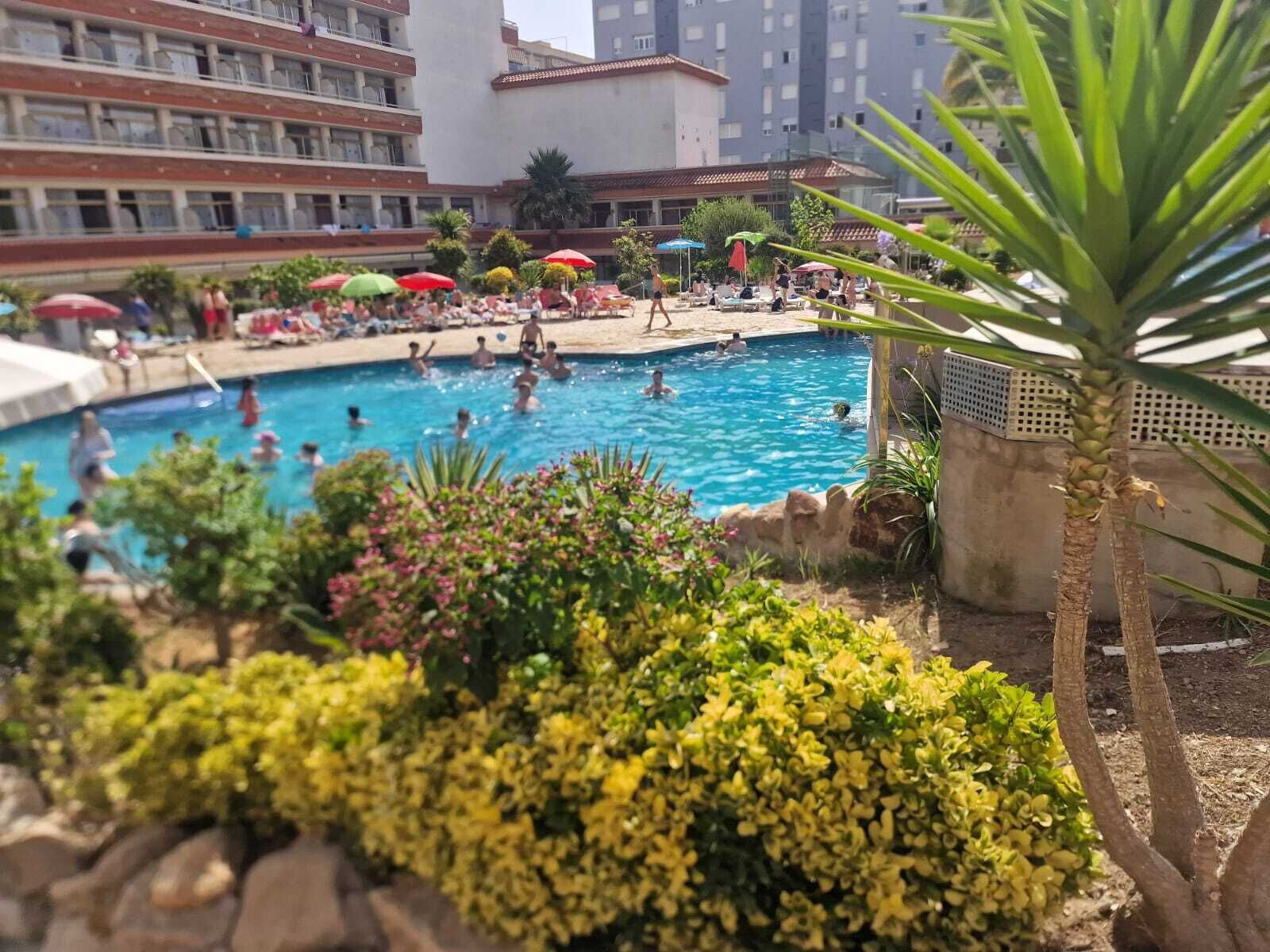 A swimming pool surrounded by lush greenery and palm trees, with people enjoying the water.