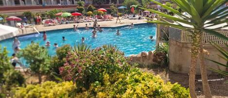 A swimming pool surrounded by lush greenery and palm trees, with people enjoying the water.