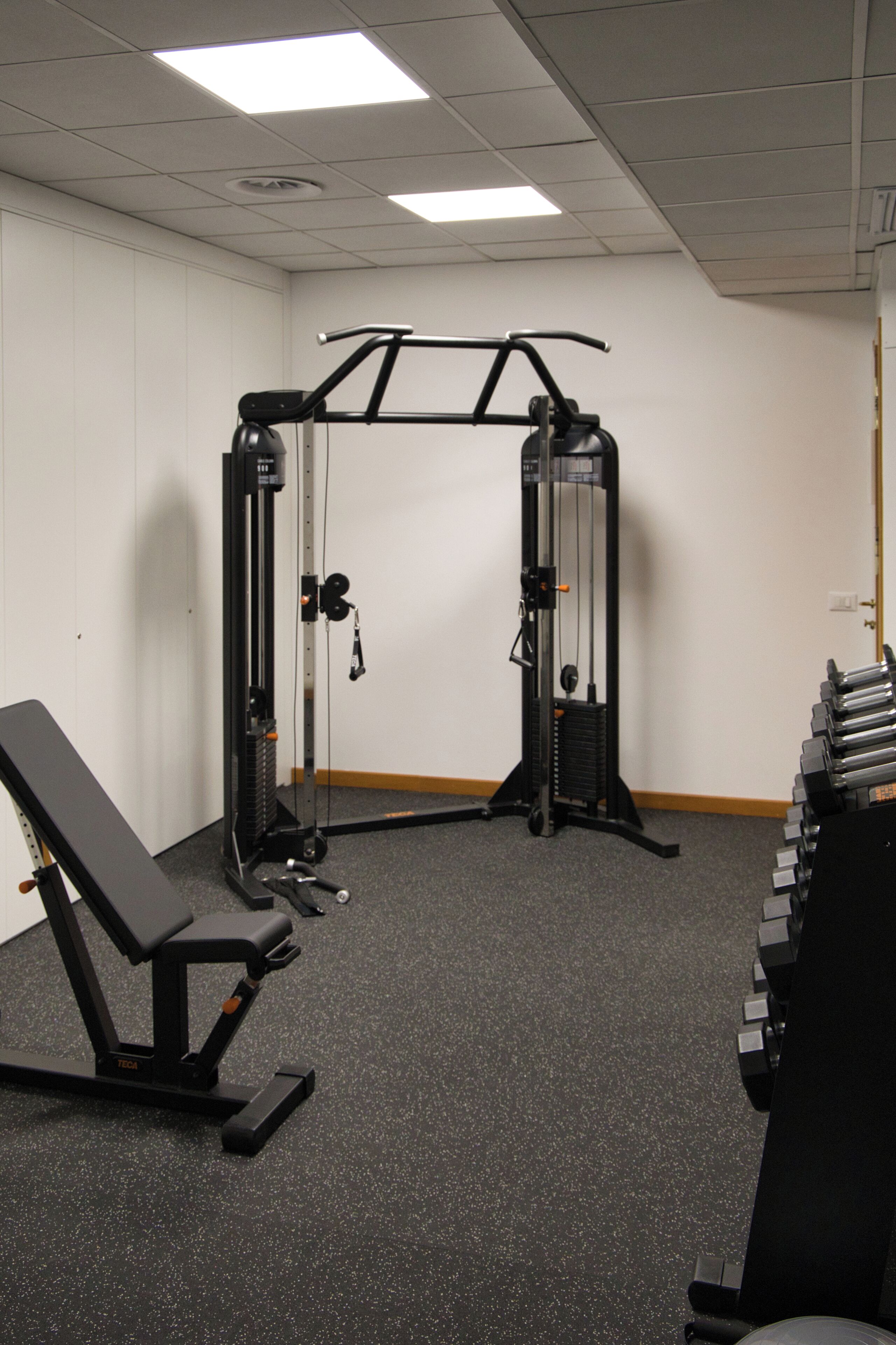 Une salle de sport équipée d’un support à squats, d’un banc et d’haltères.