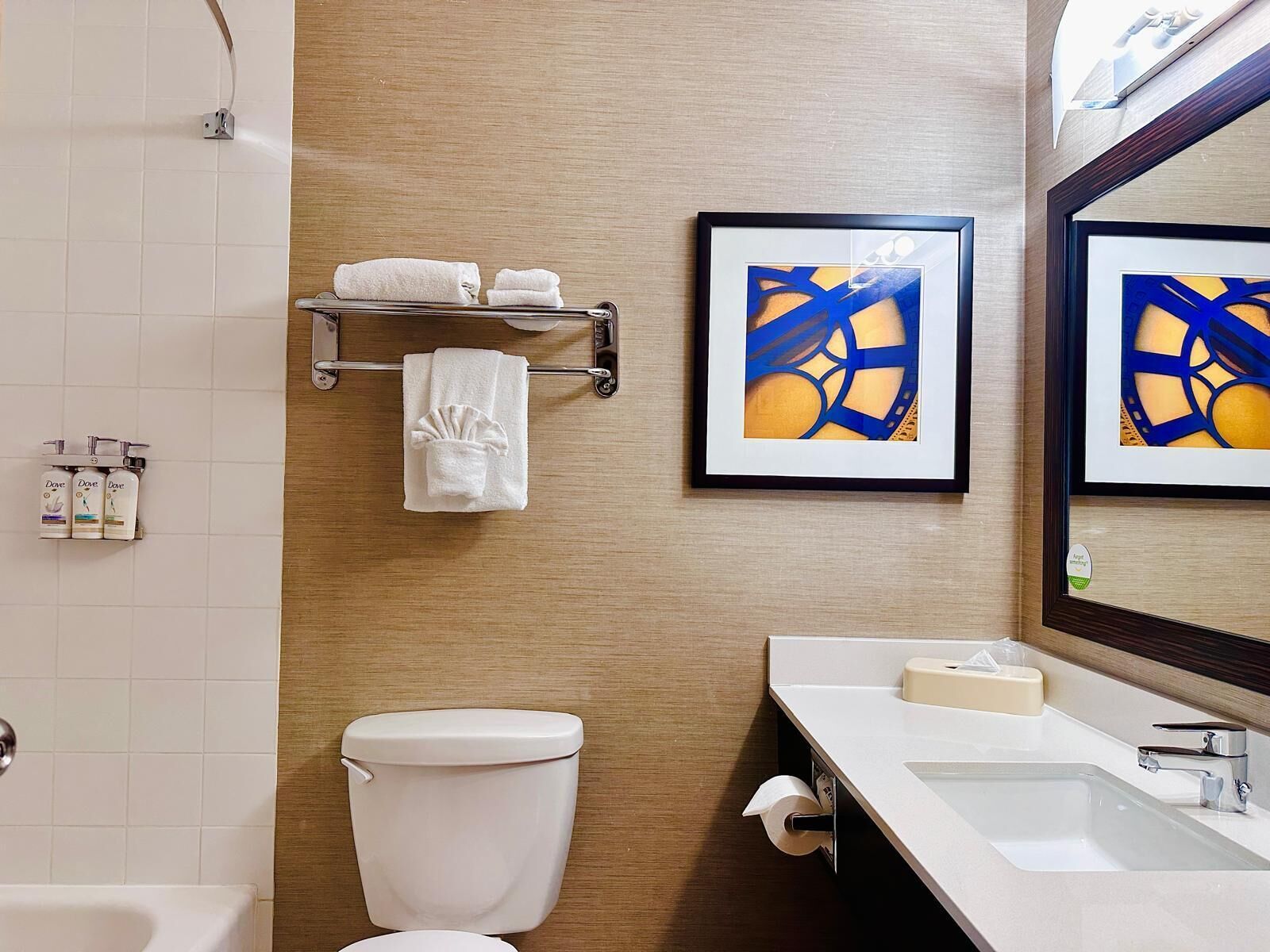 Combined shower/bathtub, free toiletries, hair dryer, towels