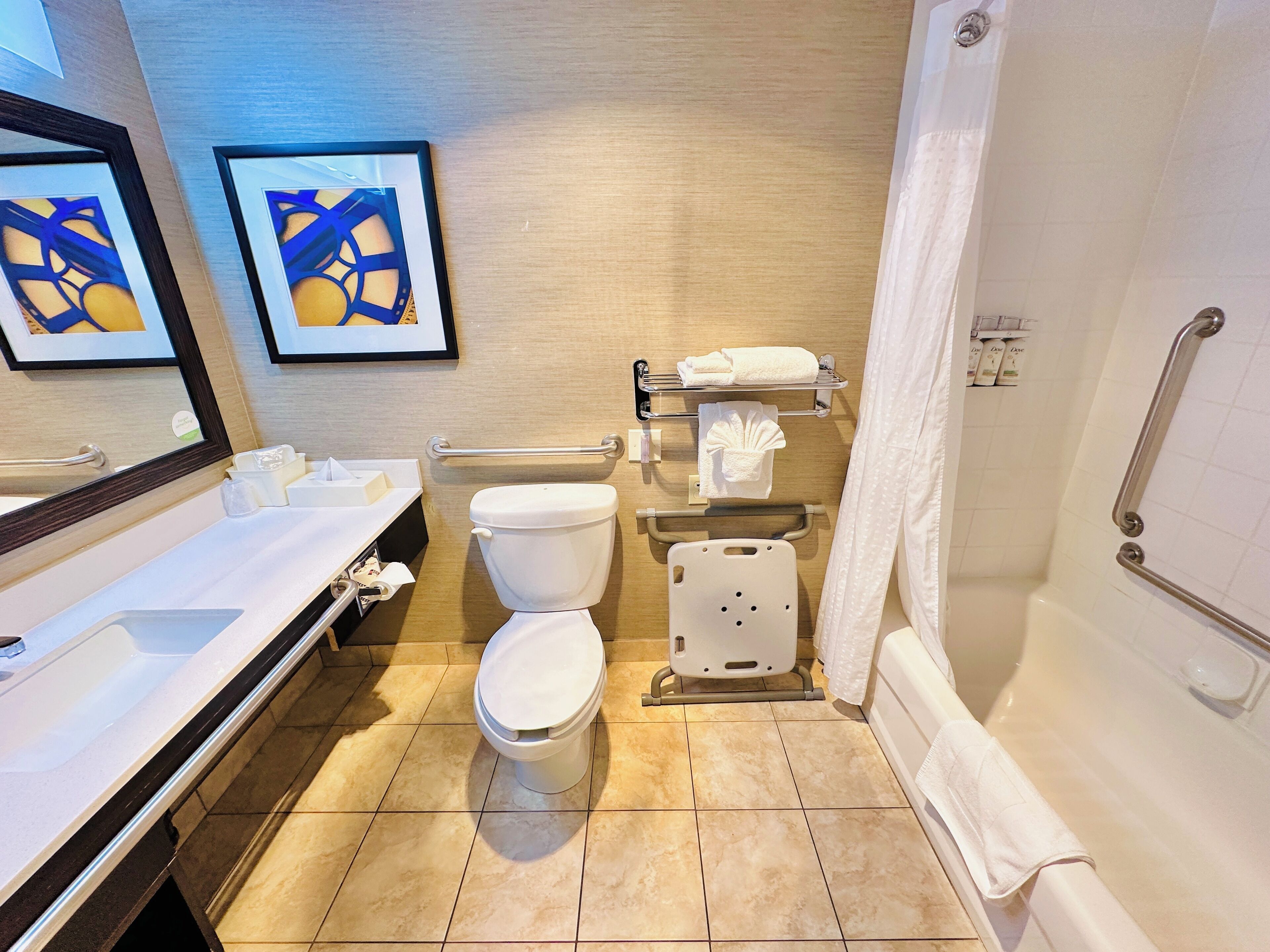 standard room, 1 queen bed, mobility accessible (accessible tub) | bathroom | combined shower/bathtub, free toiletries, hair dryer, towels