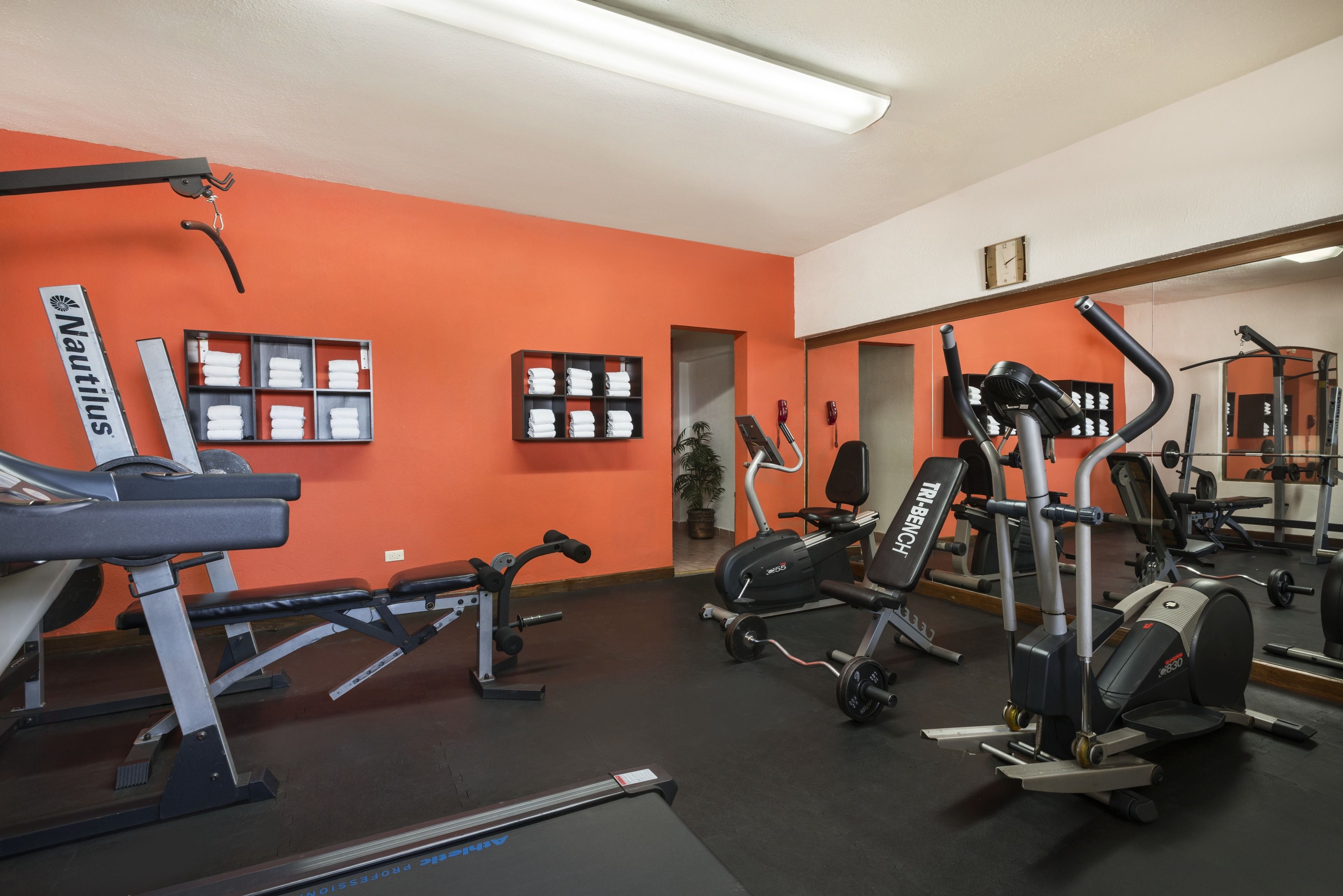 Un gimnasio con diversos equipos de ejercicio, incluyendo cintas de correr y máquinas de pesas, y un espejo que refleja el equipo.