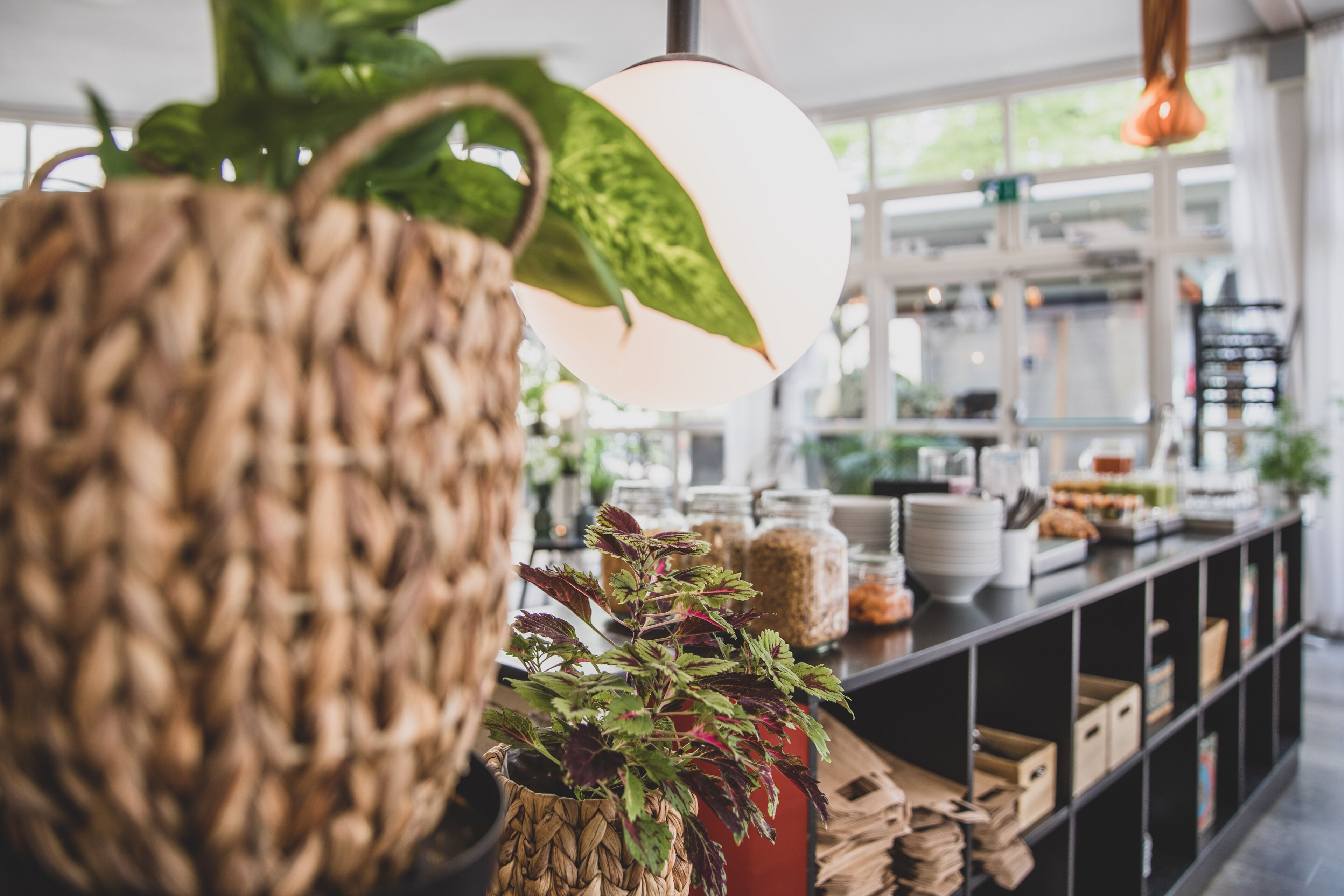 Una cocina con una planta colgante, una lámpara y una encimera con varios objetos.