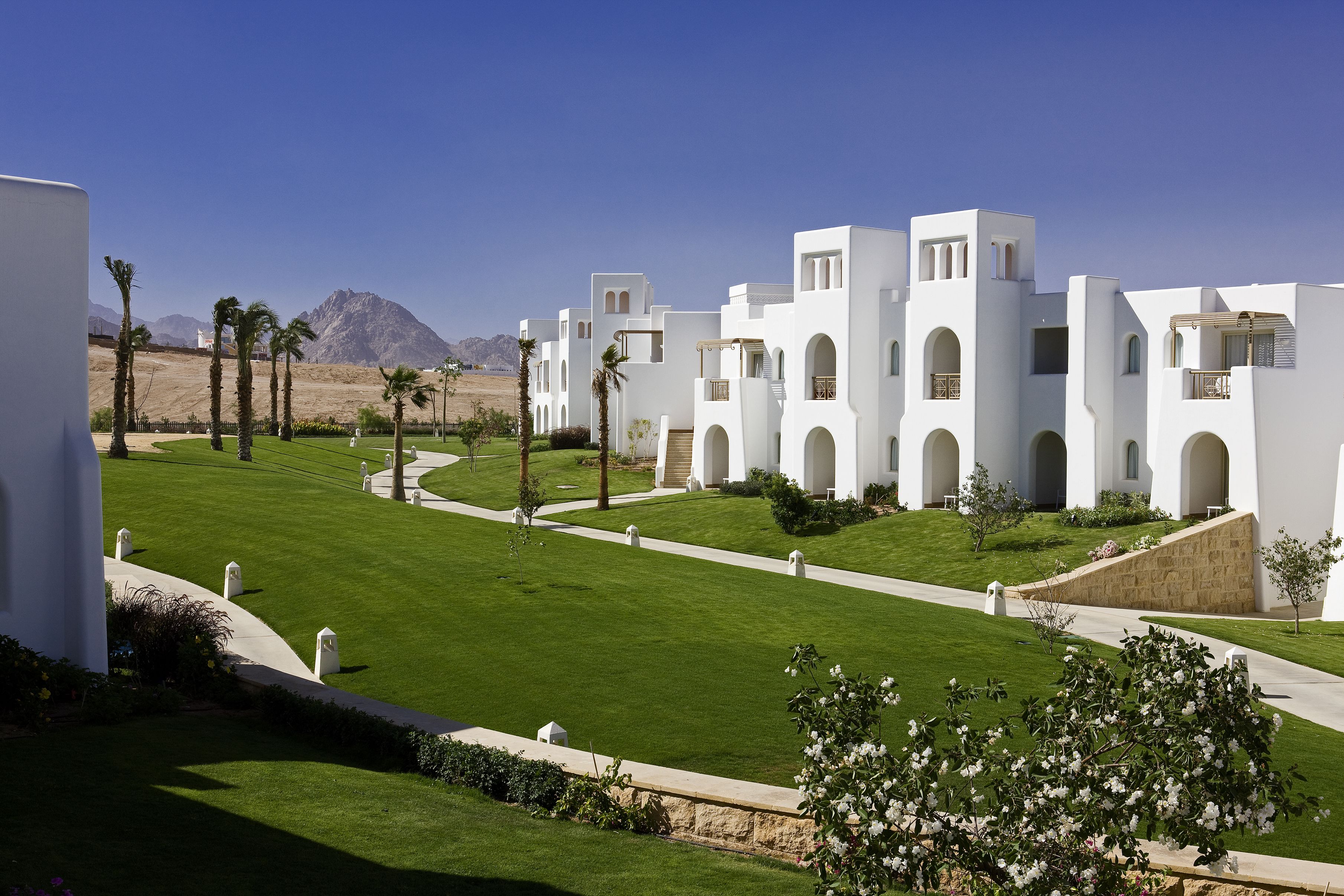 A modern hotel with white architecture, a well-maintained lawn, and palm trees.