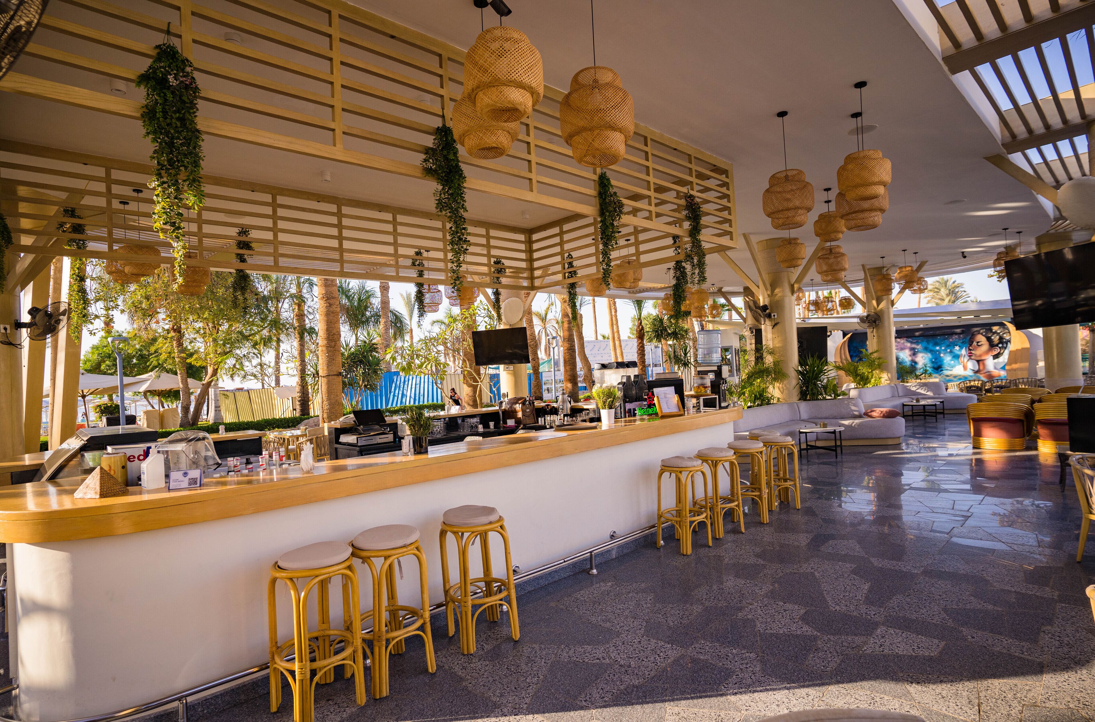 A bar area with a counter, stools, and hanging plants.