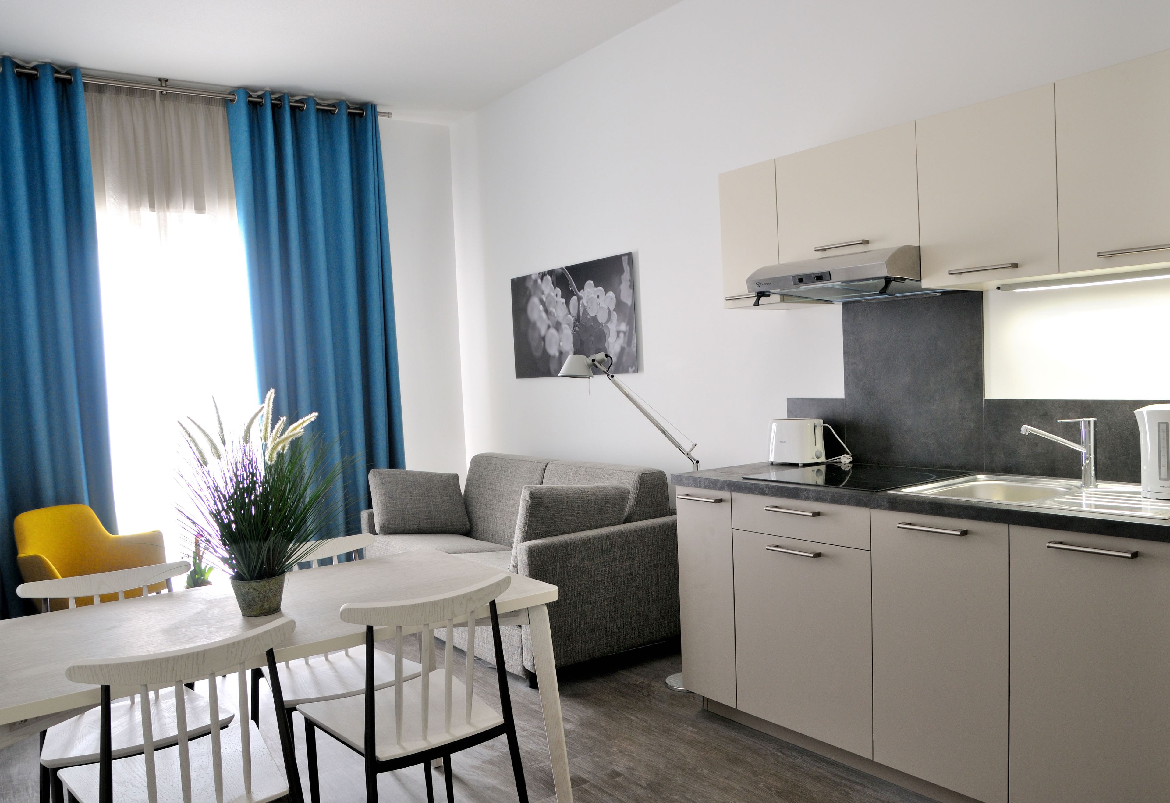 Apartment (Queen Bed) | Private kitchen | Full-size fridge, microwave, stovetop, dishwasher