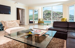 40-英寸纯平电视 (配备卫星频道)、电视