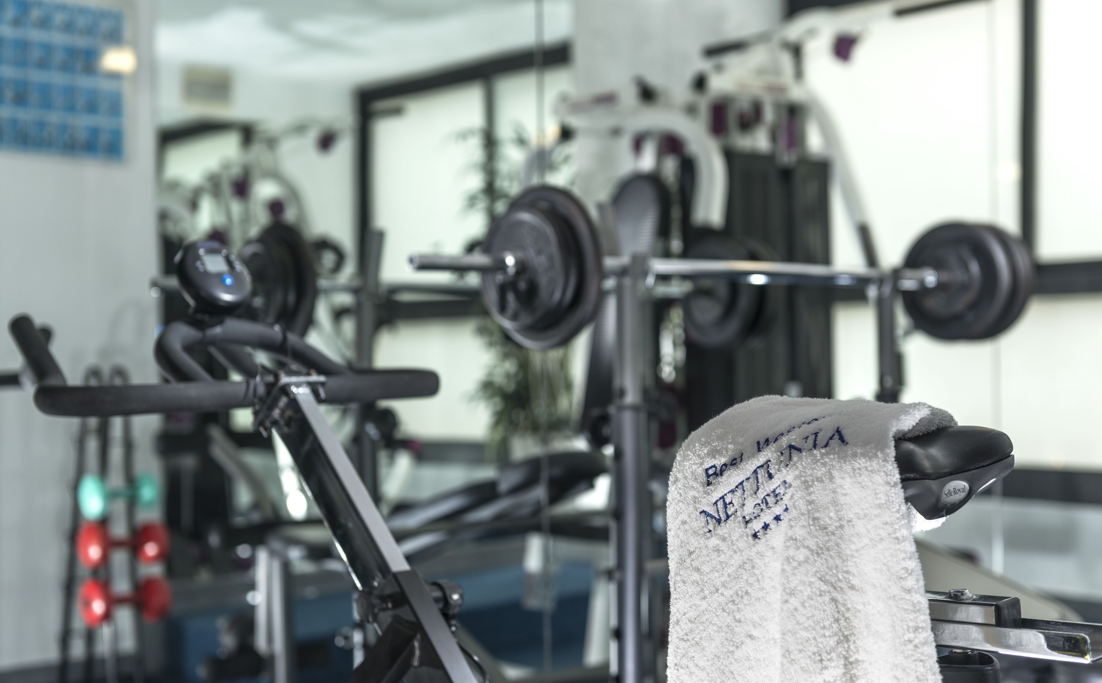 Foto - Hotel Nettunia