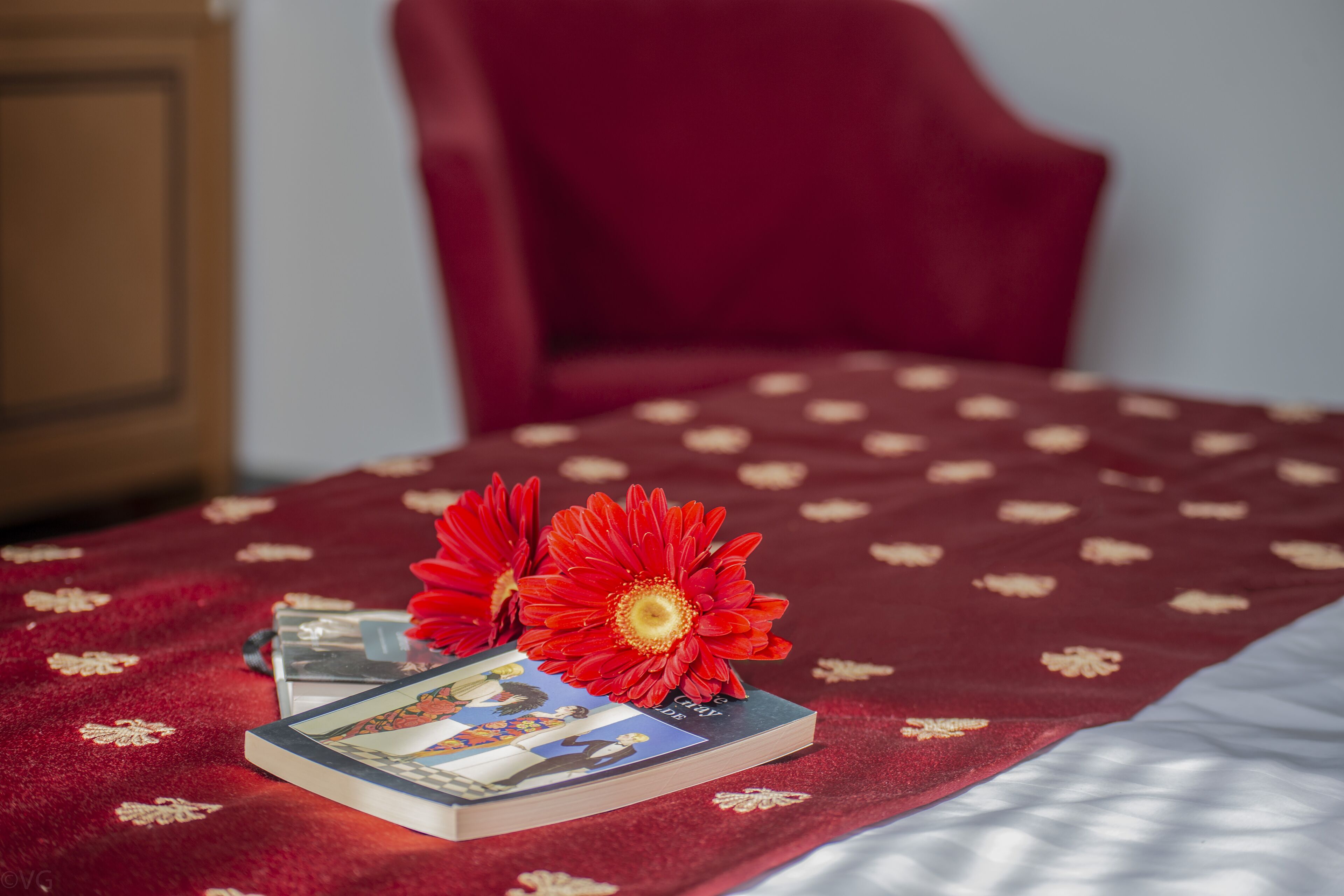 Foto - Hotel Nettunia