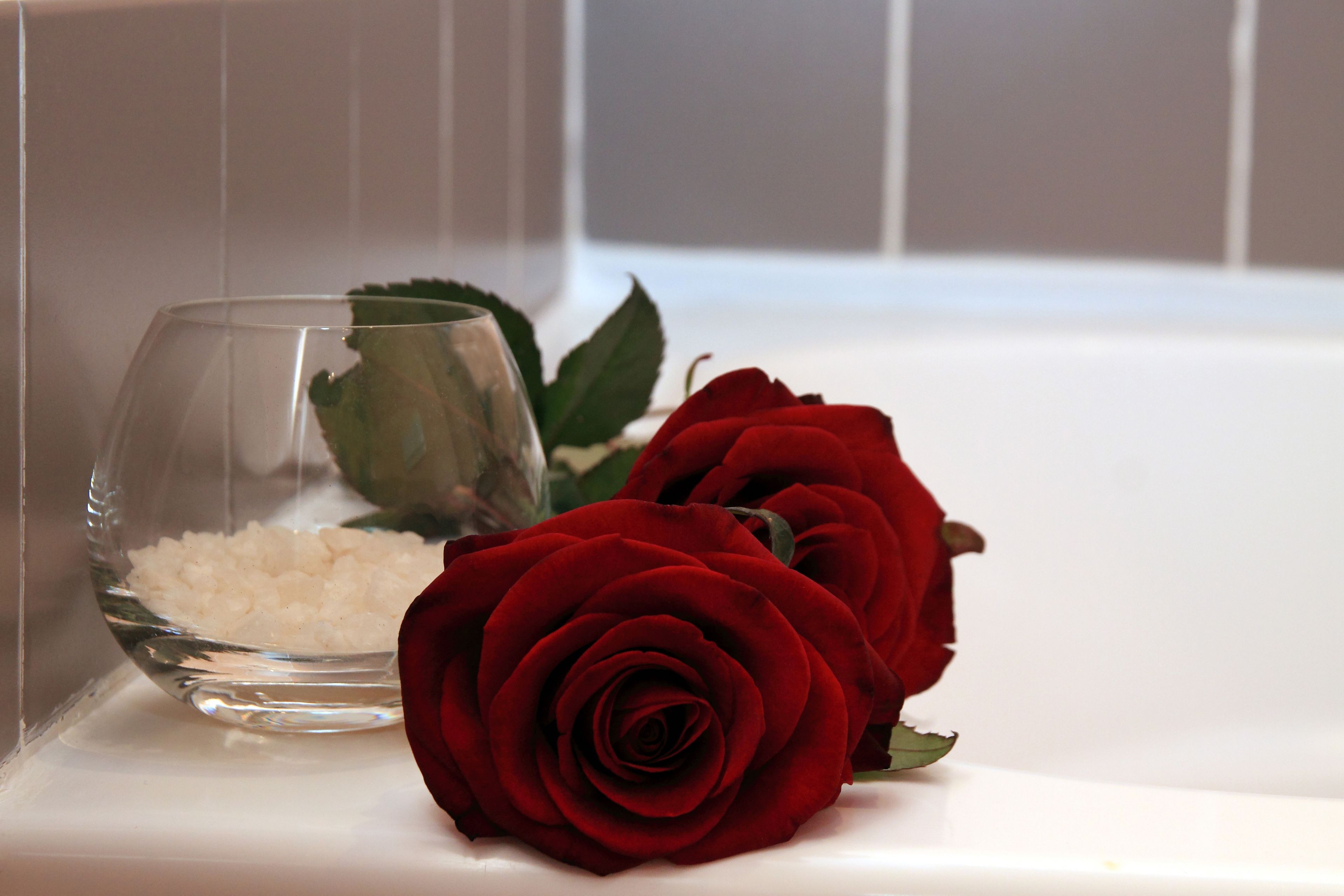 Foto - Hotel Nettunia