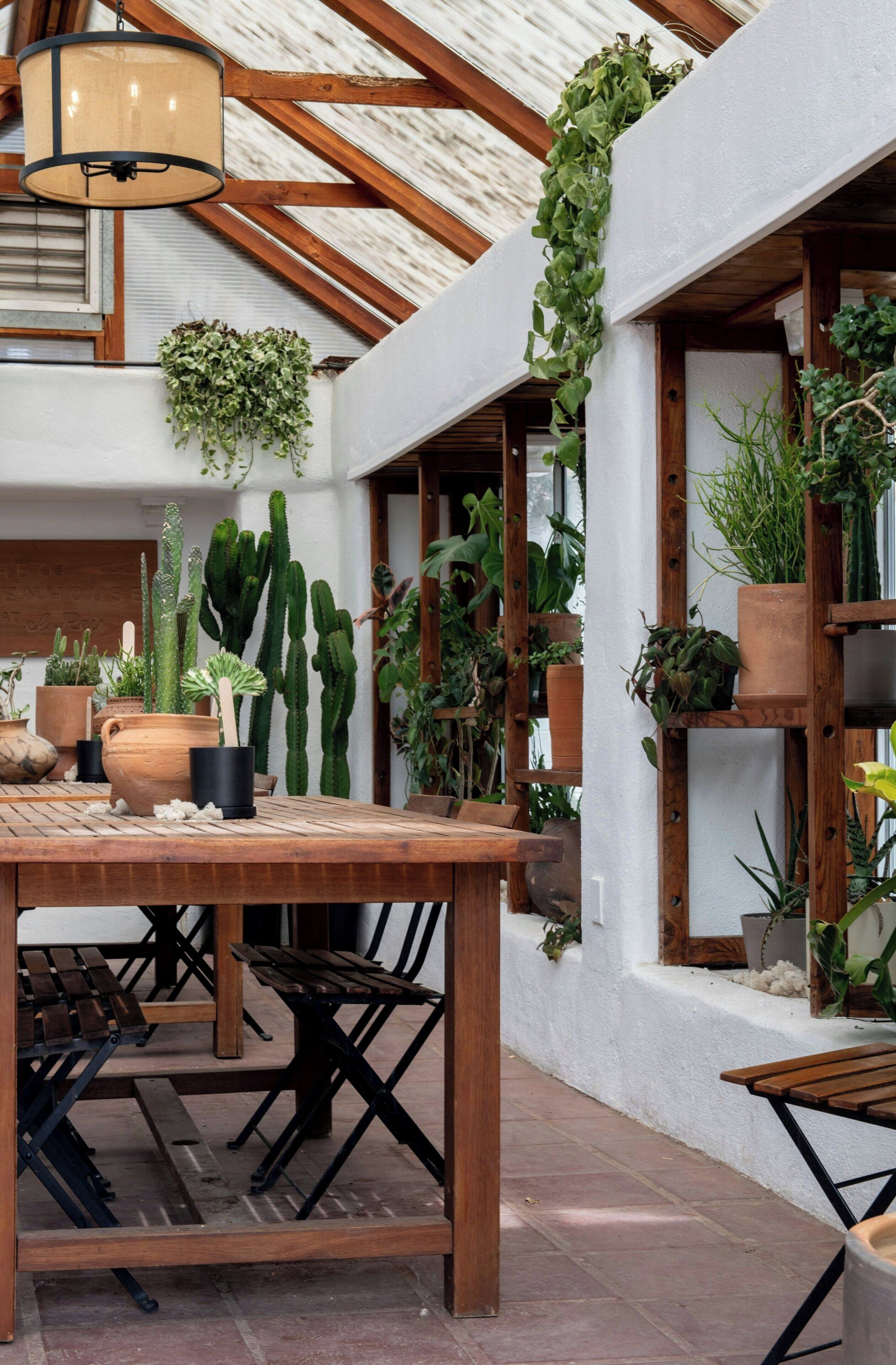 A patio area with a wooden table and chairs, surrounded by various potted plants and cacti.