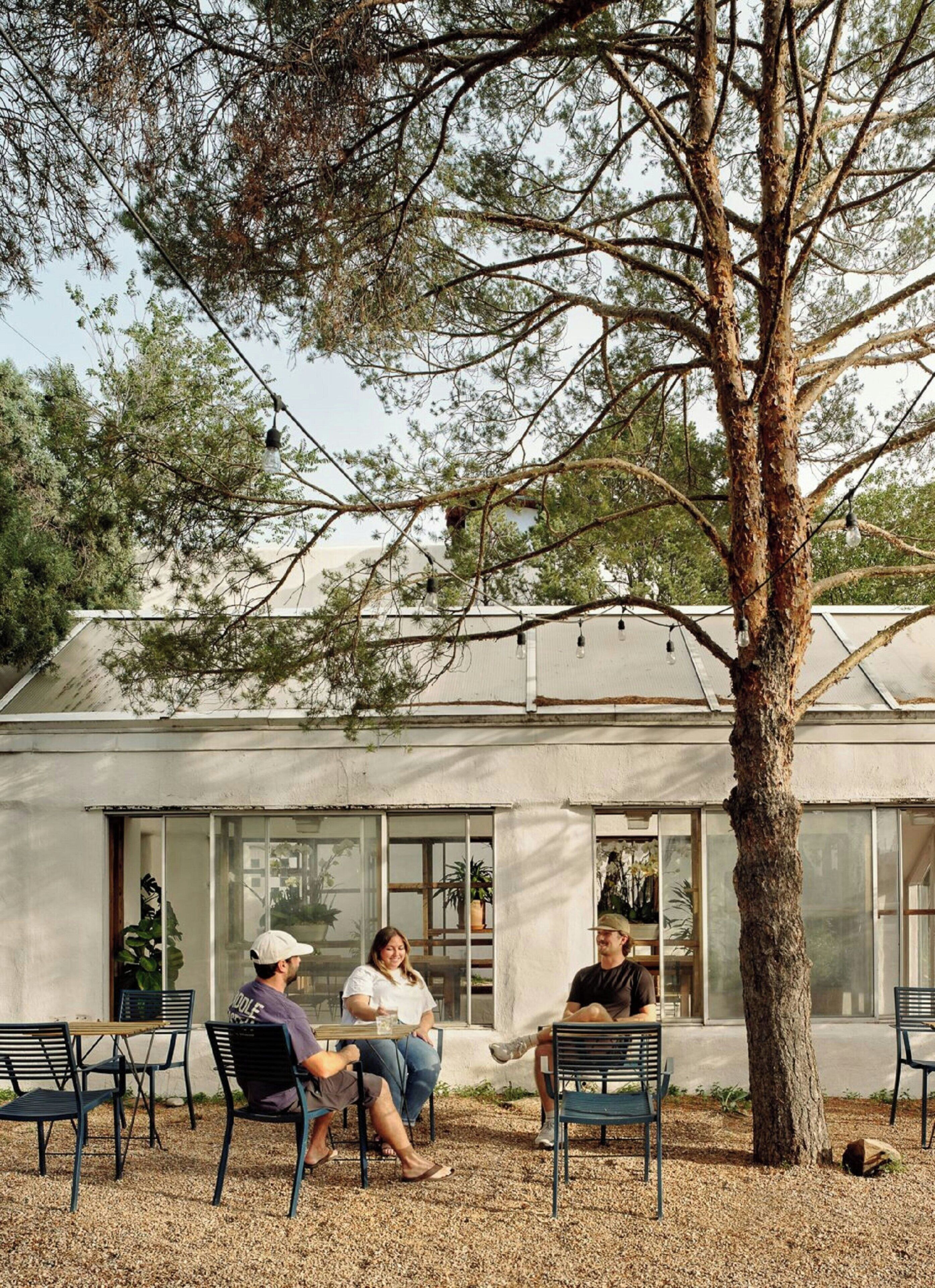 Tres personas sentadas en una mesa al aire libre con sillas, un árbol y un edificio con amplias ventanas al fondo.