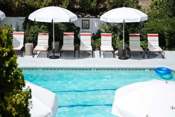 Seasonal outdoor pool, pool umbrellas, sun loungers