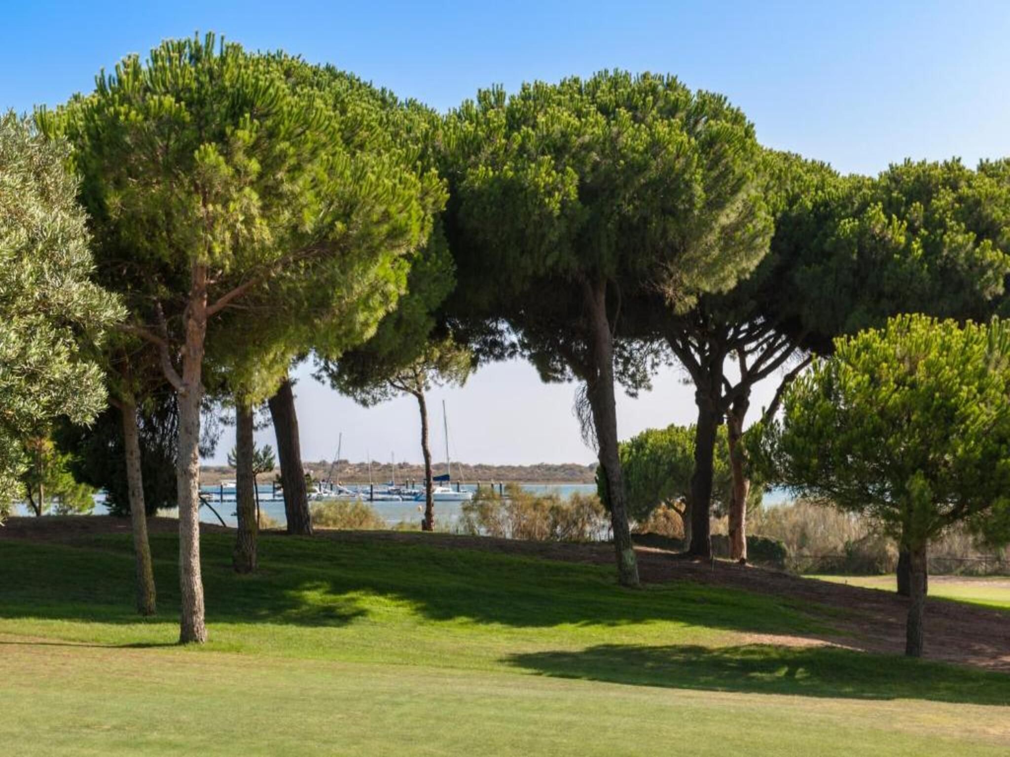 A grassy area with several trees and a body of water in the background.