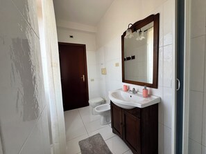 Shower, free toiletries, hair dryer, bathrobes