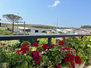 Esterni