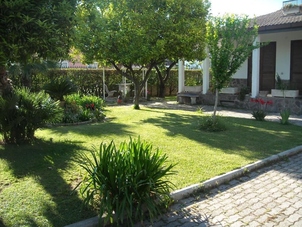 A well-maintained garden with a variety of plants and a paved walkway leading to a building with a tiled roof.