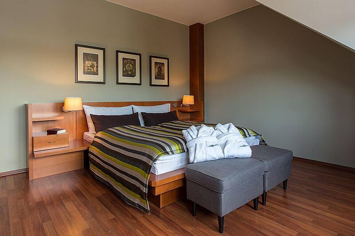 Standard Double Room | Hypo-allergenic bedding, minibar, iron/ironing board (on request)