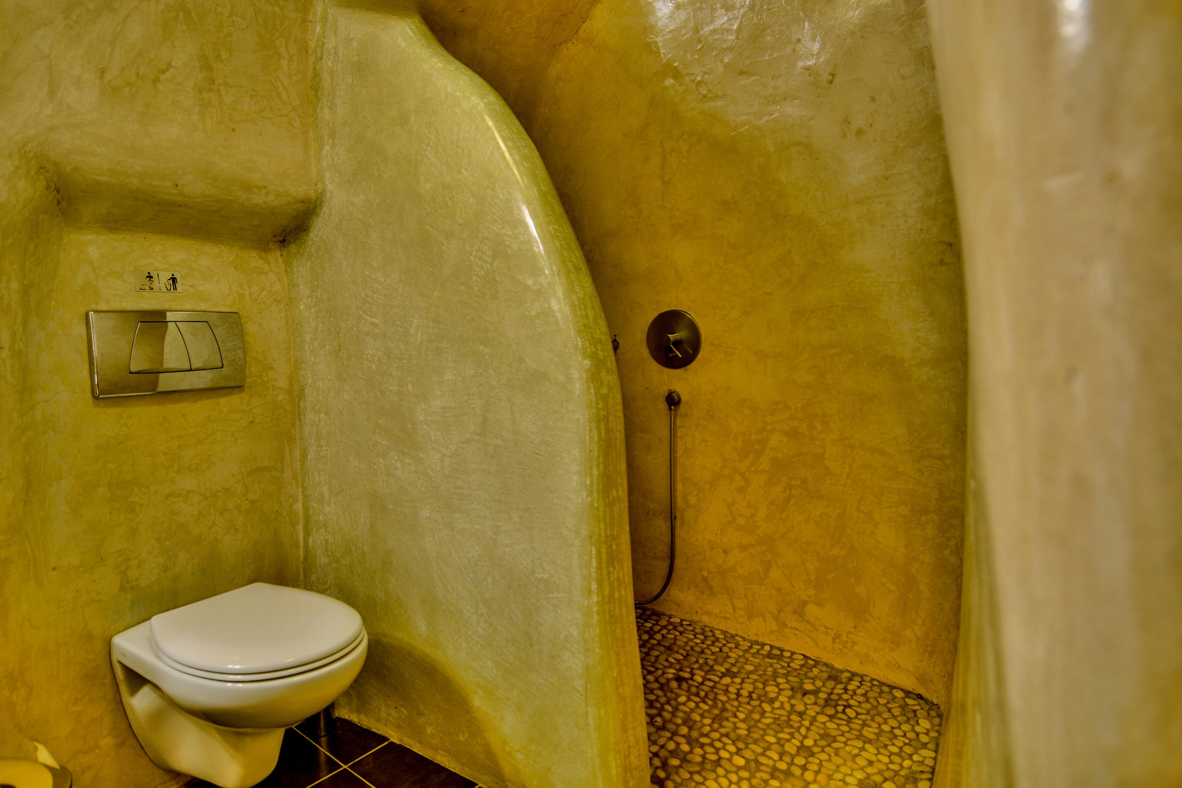 A bathroom with a toilet, a shower, and a wall-mounted flush handle.