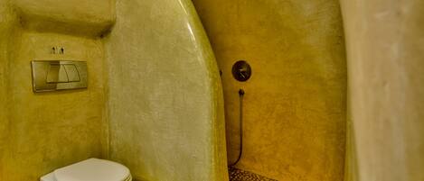 A bathroom with a toilet, a shower, and a wall-mounted flush handle.