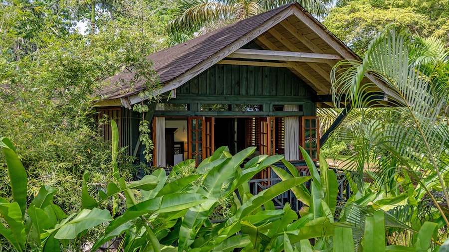 Sunset at the Palms Resort - Adults Only - All Inclusive