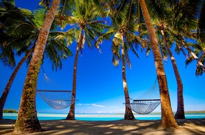 Ein Strand mit Palmen und zwei Hängematten.