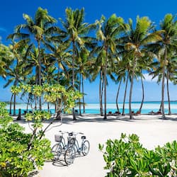 Premium Beachfront Bungalow | Premium bedding, in-room safe, individually decorated