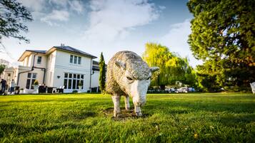 Área da propriedade