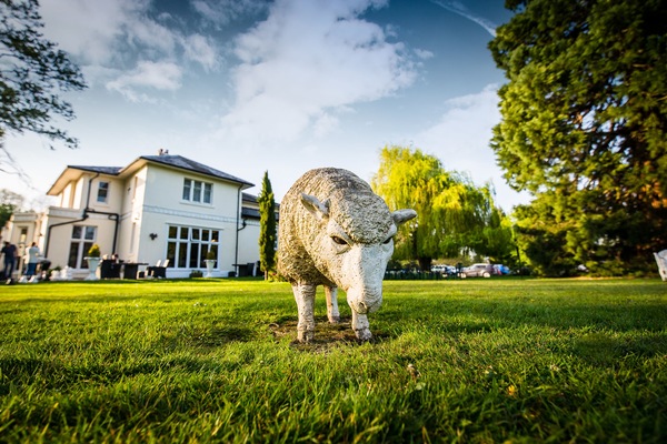 Khuôn viên nơi lưu trú