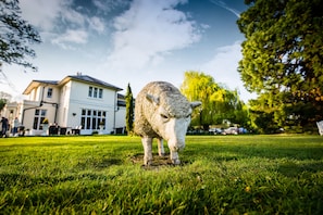 Parco della struttura