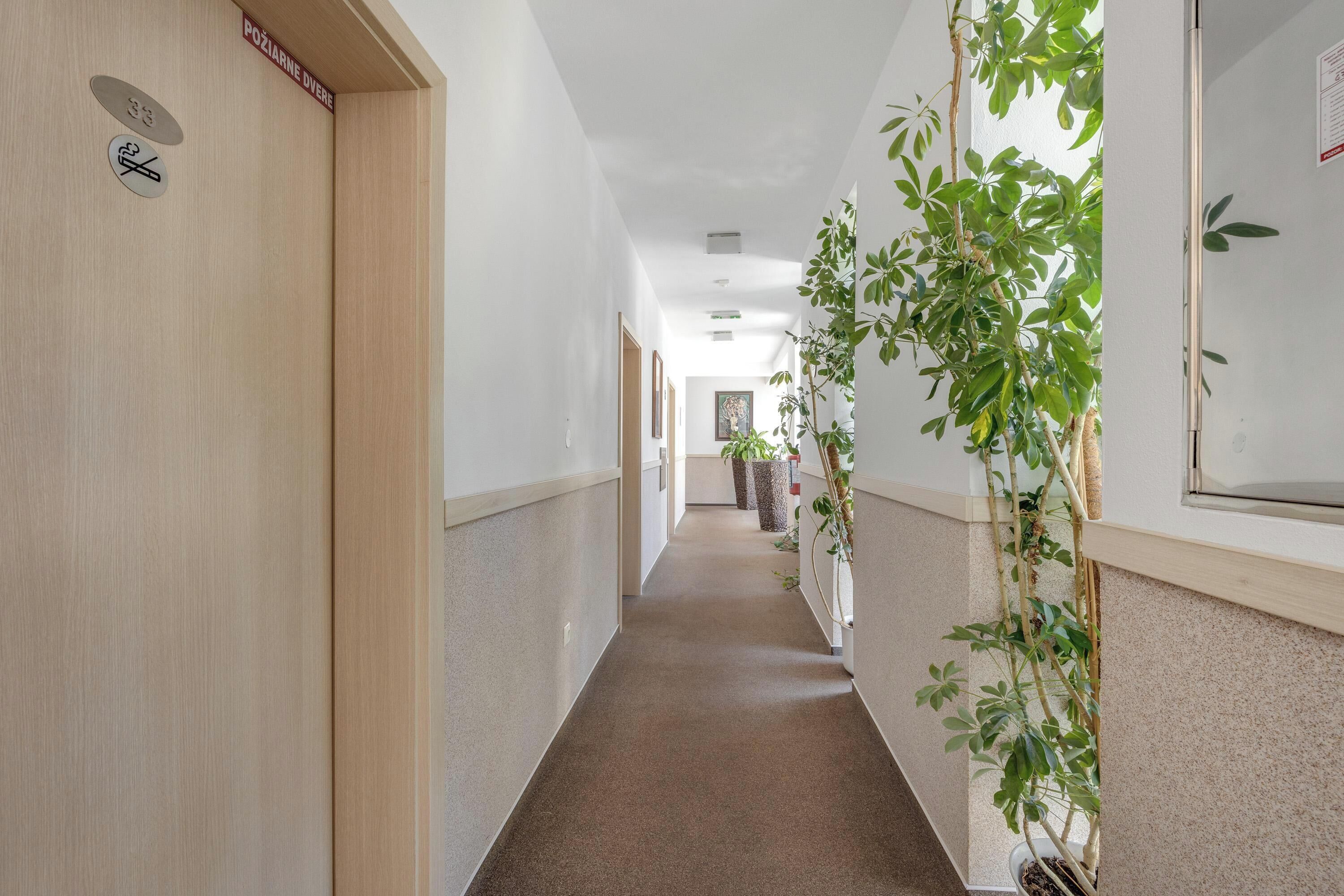 Foto - Hotel ANTARES