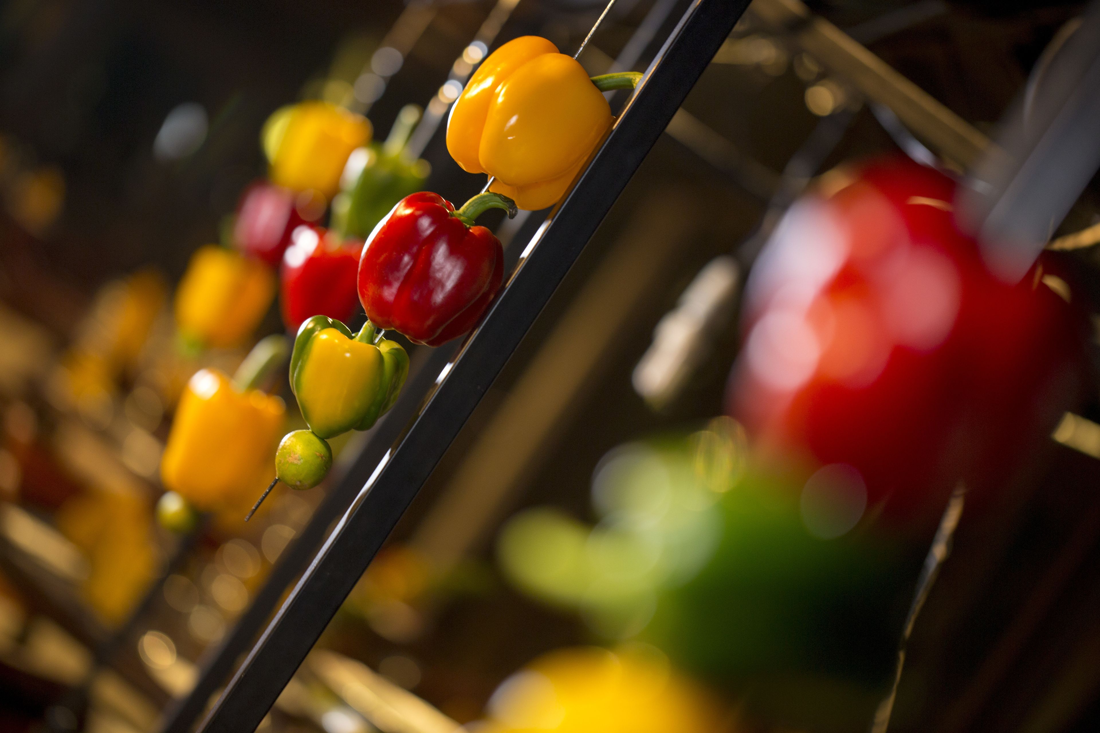 A close-up of bell peppers on a metal rack.