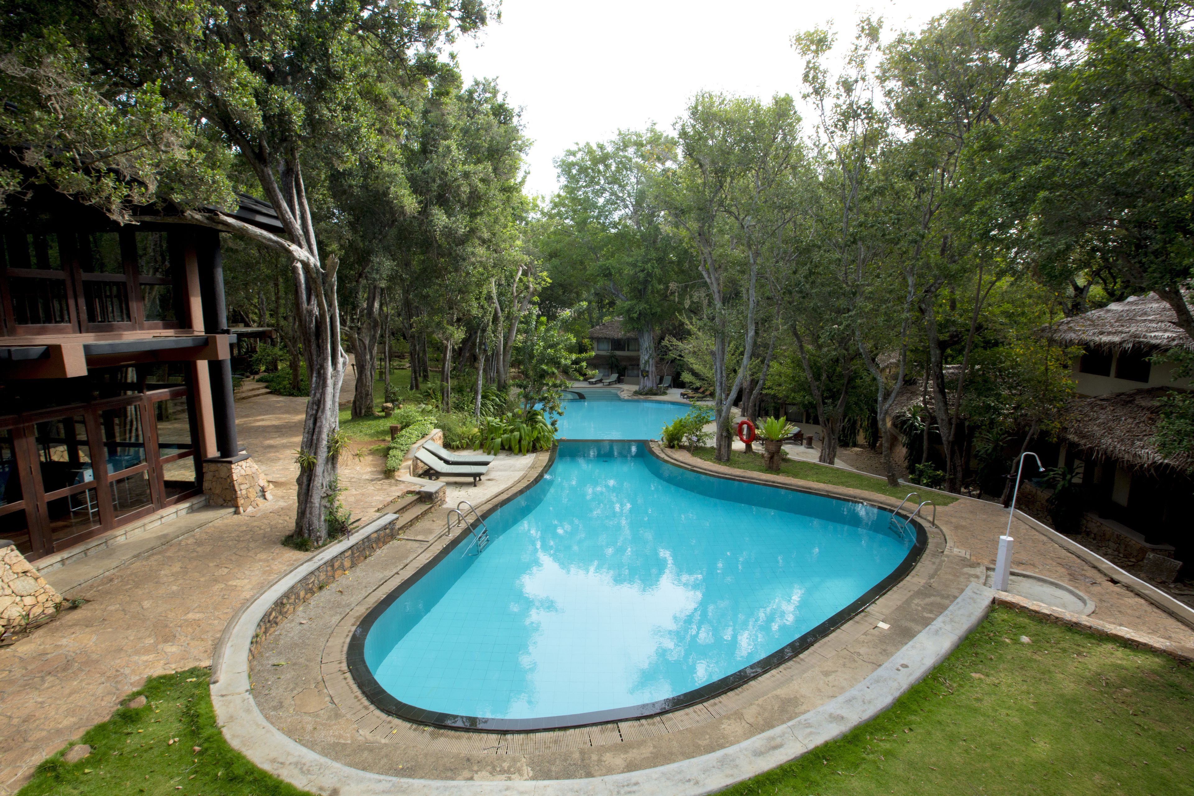 A swimming pool with a curved design, surrounded by a grassy area and trees.
