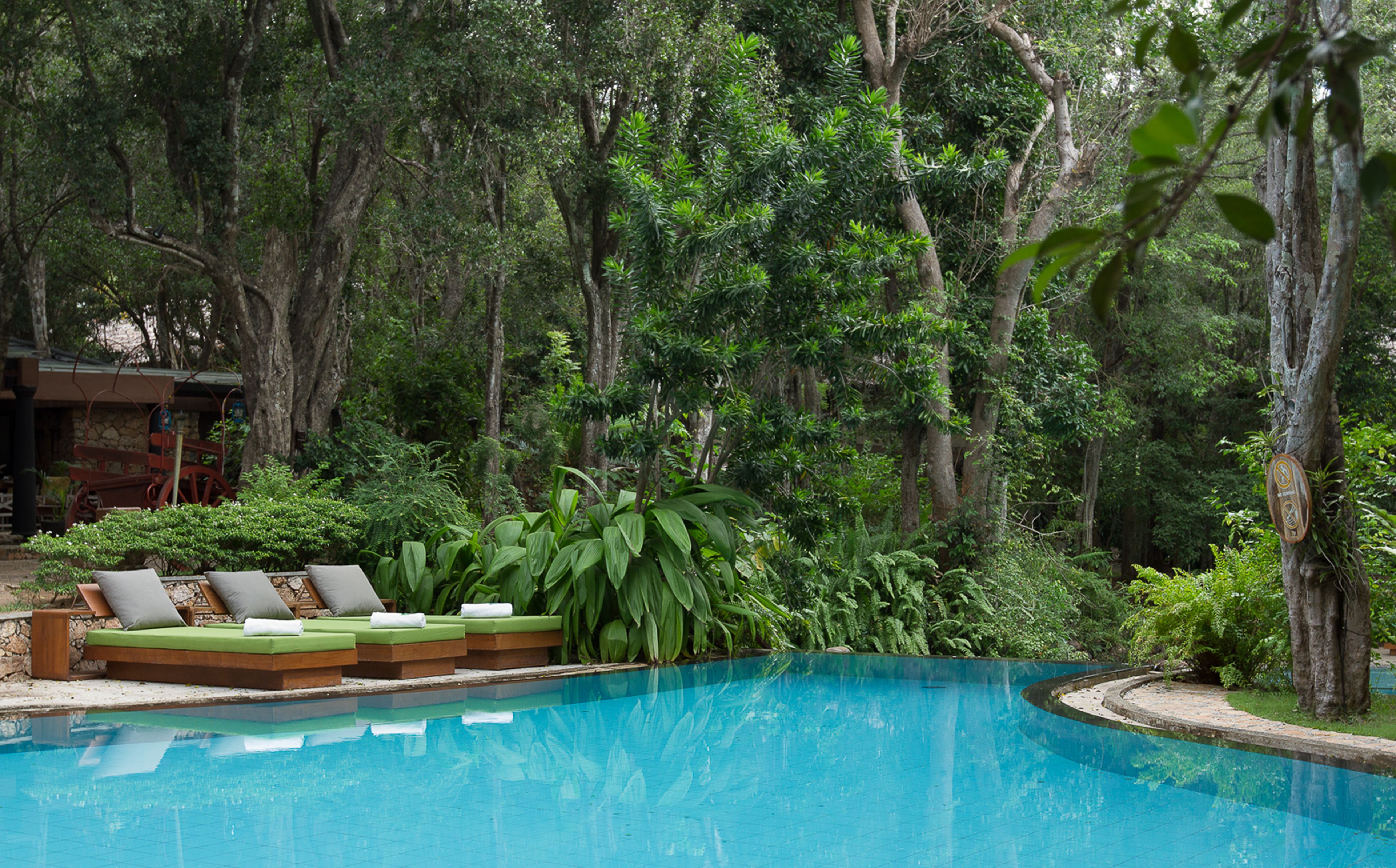 A pool surrounded by lush greenery and a wooden deck with lounge chairs.