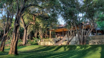 Jardin