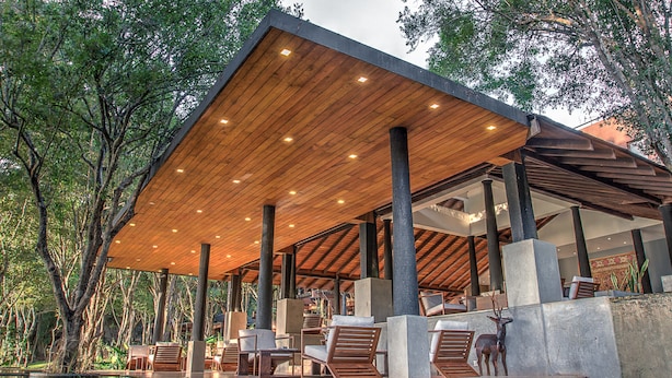 Un espacio al aire libre cubierto con suelo de madera y asientos, rodeado de árboles.