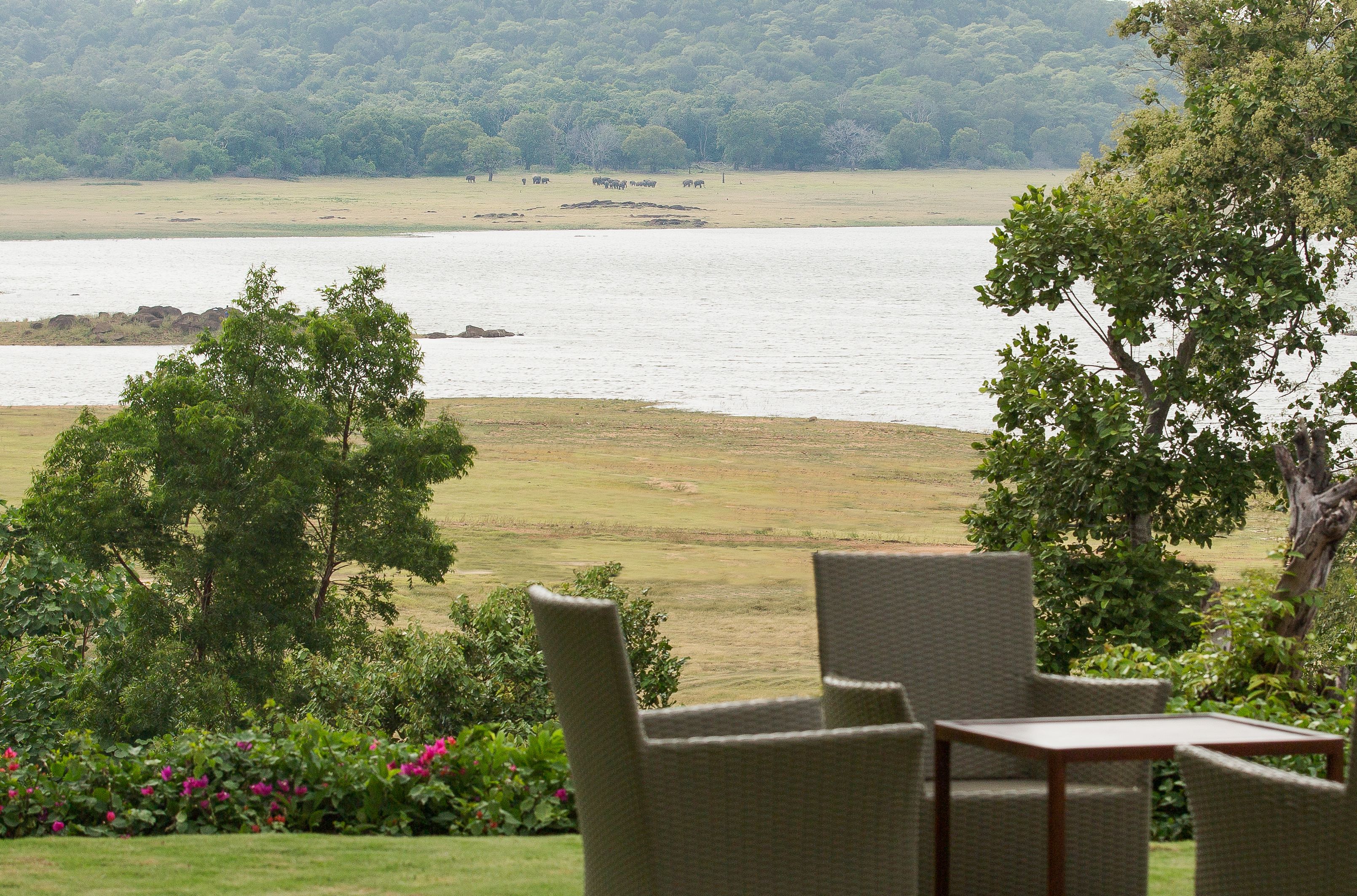 A view of a lake with a grassy area and trees in the foreground. There are wicker chairs and a table.