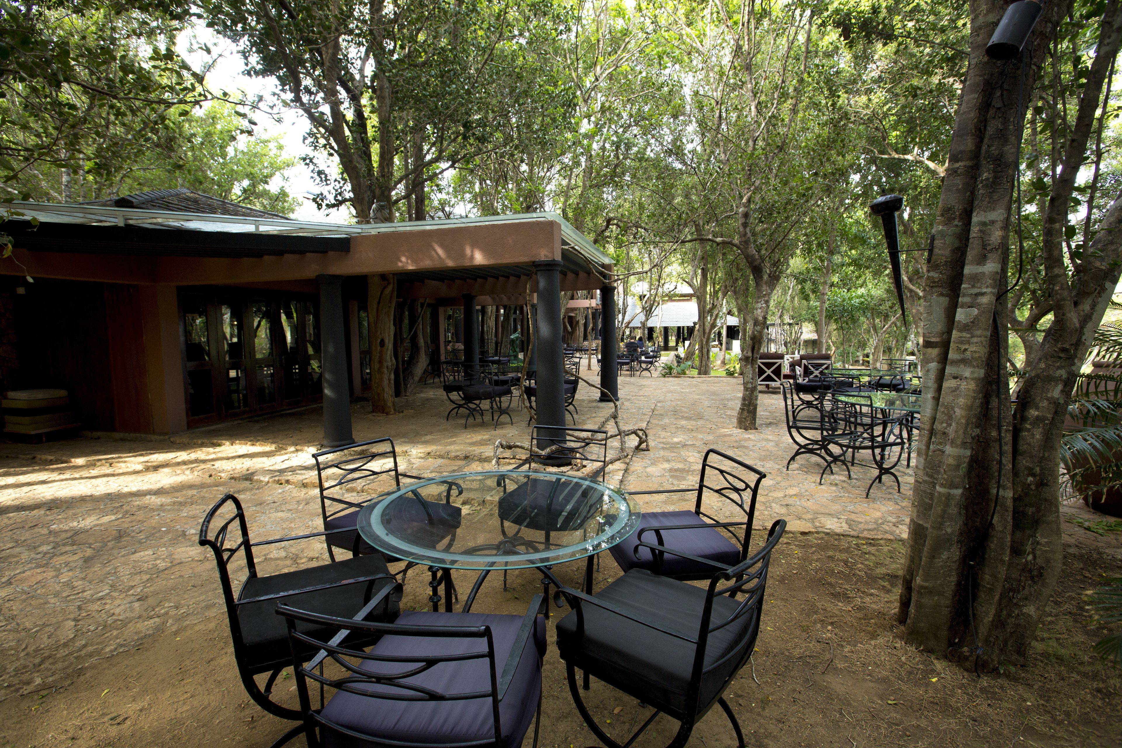 Un espace extérieur aménagé avec des tables et des chaises rondes, entouré d’arbres.