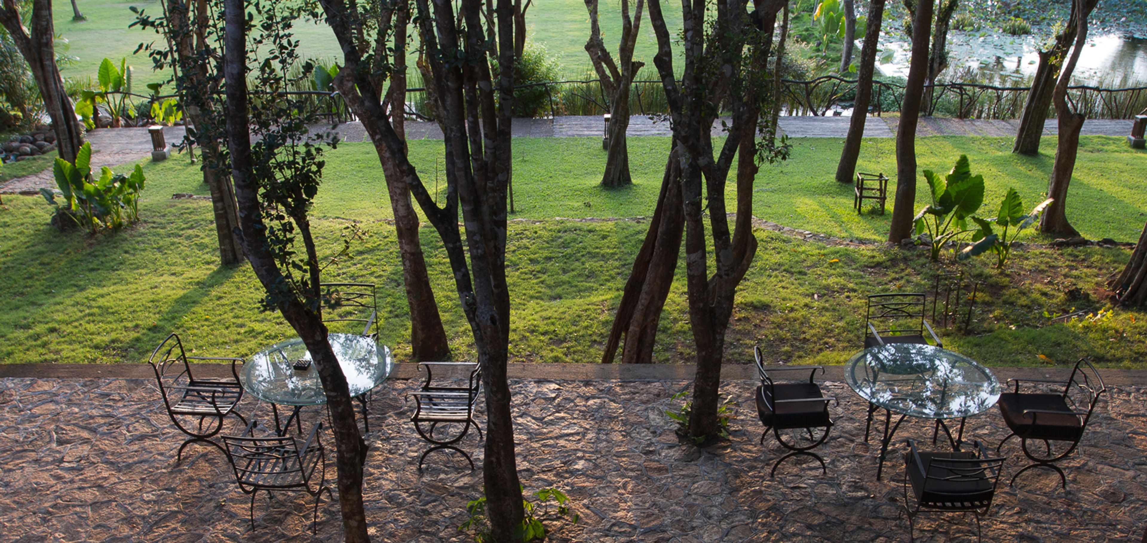 An outdoor seating area with tables and chairs, surrounded by trees and a grassy field.