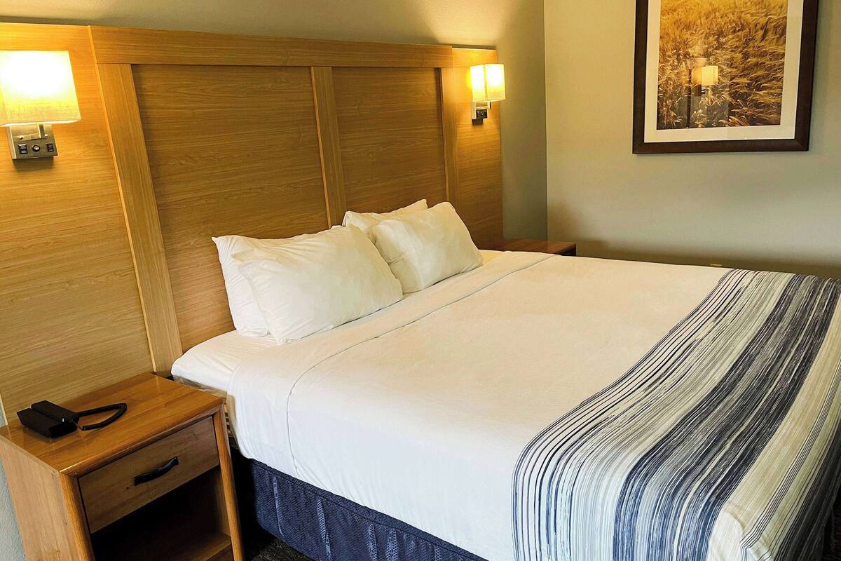 A hotel room with a wooden headboard, a bed with white linens, a bedside table with a lamp, and a framed picture on the wall.