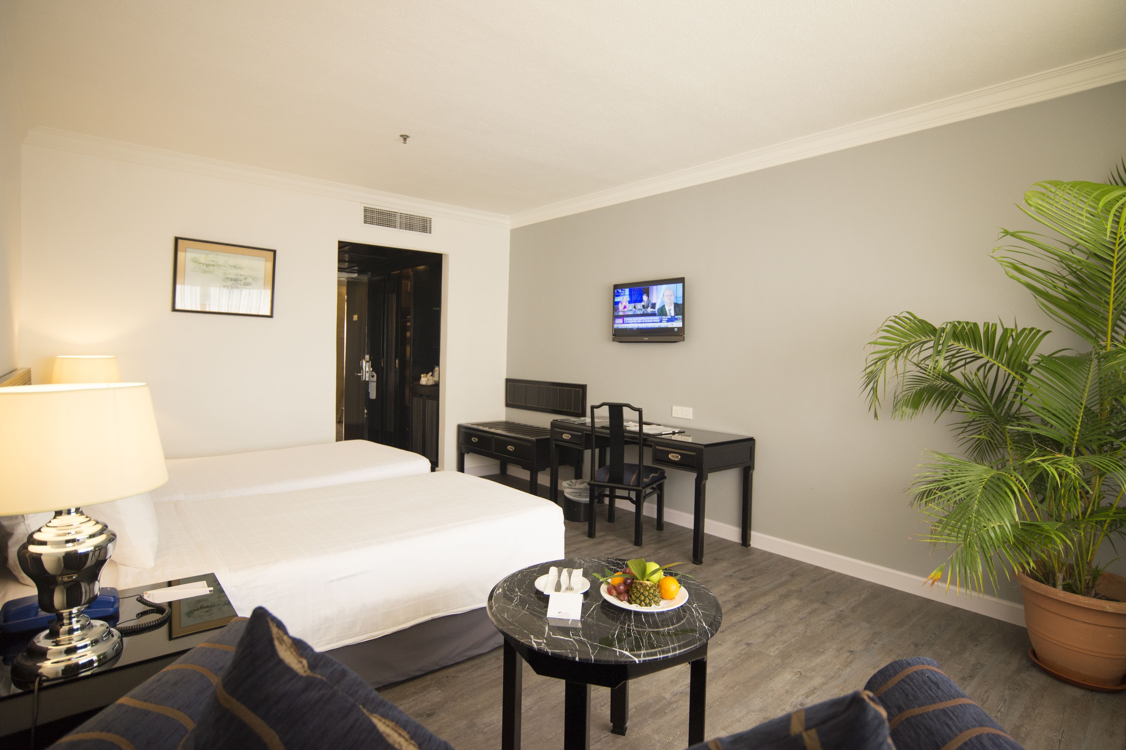 A hotel room with a bed, desk, chair, TV, and a potted plant.