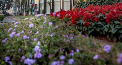 Rodas An Ecotel Hotel, Mumbai