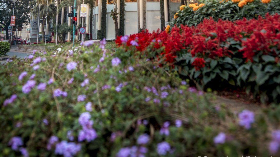 Rodas An Ecotel Hotel, Mumbai