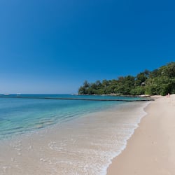 On the beach, snorkeling, windsurfing, sailing