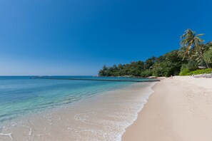 บนชายหาด, การดําน้ำสน็อกเกิล, วินด์เซิร์ฟ, เรือใบ
